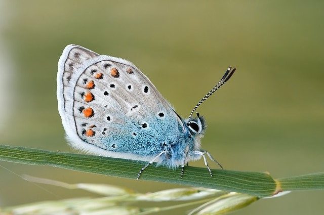 Einzigartigkeit. Befreie dich von hinderlichen, energetischen Verbindungen zu anderen. Transformation ist eine Entscheidung. Foto: Pixabay